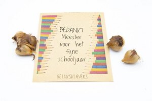 bedankt meester voor het fijne schooljaar geluksklavers kraft zakje