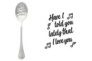 RVS lepel met liefdestekst Have I told you lately.