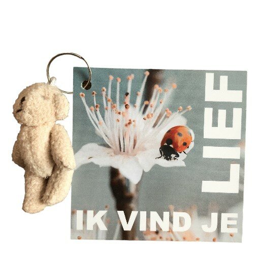 Kaartje ik vind je lief met knuffel beertje