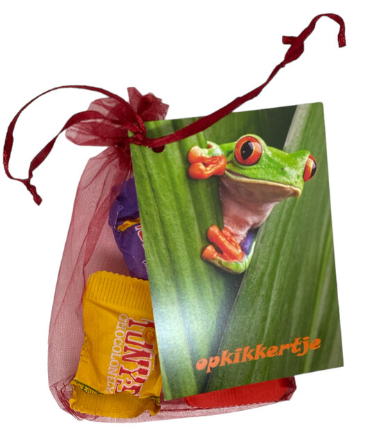 Tony's Chocolonely chocolade opkikkertje met 3 Tiny Tony's in organza zakje