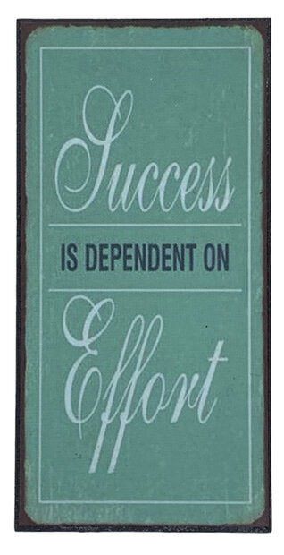 Magneet Success is dependent on Effort 10 x 5 cm
