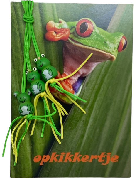 Detailopname van het lieve wenskaartje Opkikkertje en de drie gelukskikkers