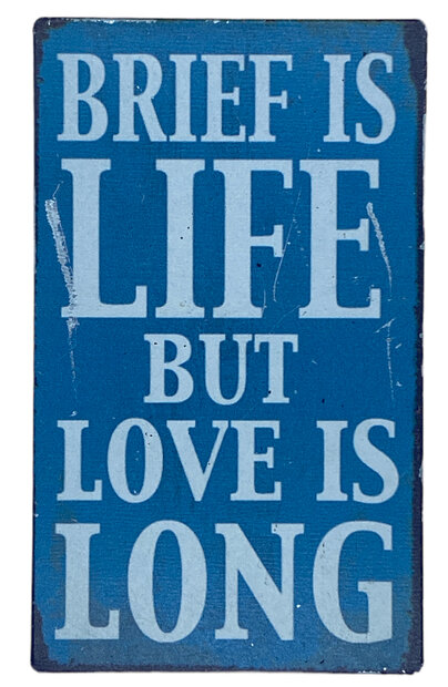 Blauwe magneet met tekst Brief is life but love is long van 10 x 6 cm