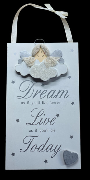 Houten decoratiebordje met tekst Dream as if you'll live forever van 24 x 14 cm