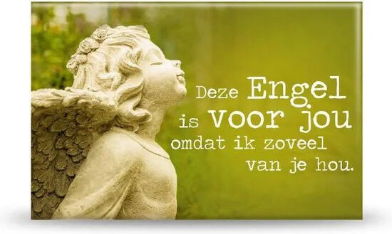 Magneet deze engel is voor jou