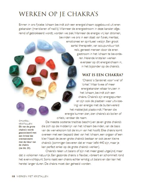 Detailopname van de tekst en kleurrijke afbeeldingen in het edelstenen boek.