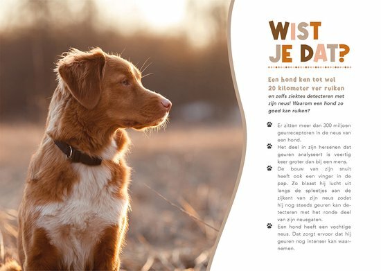Boek voor hondenliefhebbers, 95 pagina&rsquo;s in kleur