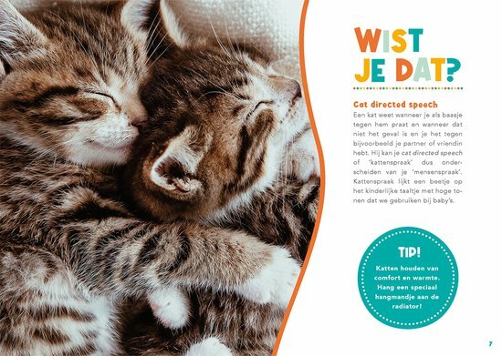 Boek voor kattenliefhebbers, 95 pagina&rsquo;s in kleur
