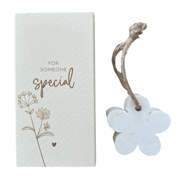 Doosje zeep for someone special cadeau