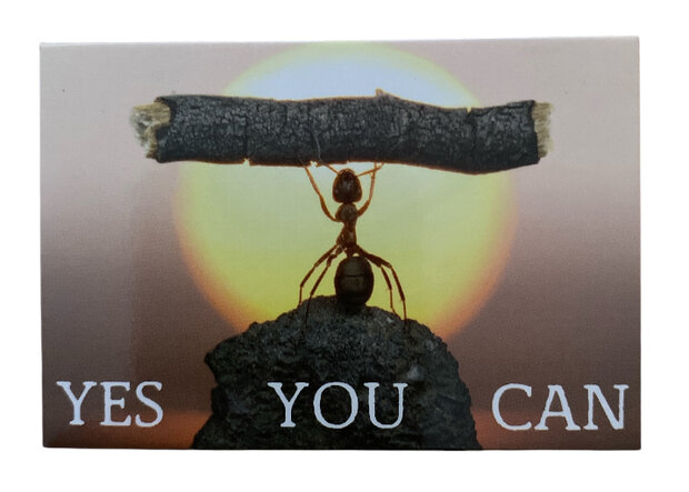 magneet Yes You Can inspirerende motivatie
