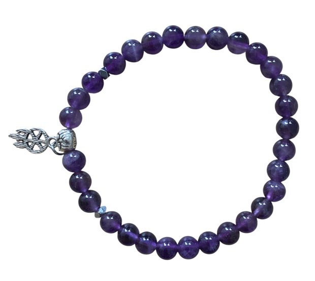 dames armband met amethist en RVS dromenvanger