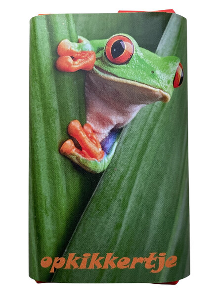 Chocolade cadeau met vrolijk &ldquo;Opkikkertje&rdquo; bericht en kikker