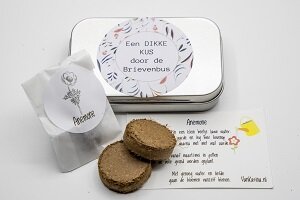Lief cadeautje met bloemenzaadmet zaadjes voor vlinders en insecten