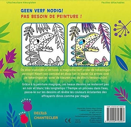 Dinosaurus schilderen met water formaat 20 x 20 cm