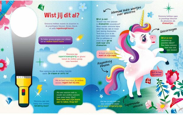 Kinderboek unicorns met kleurrijke zoekplaten