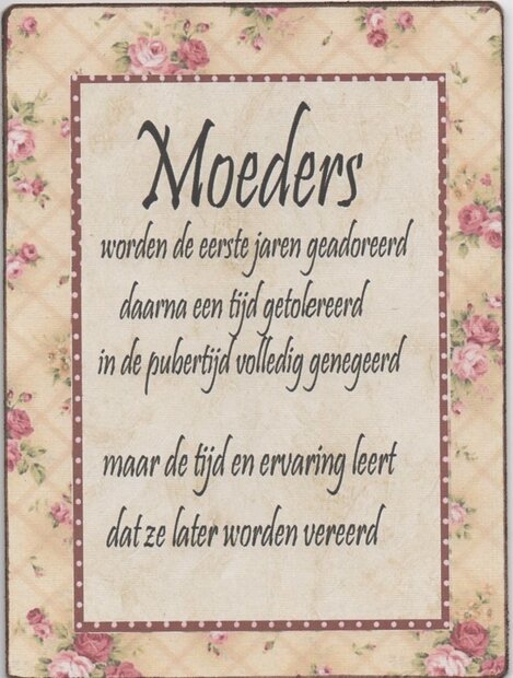 Houten decoratiebordje met grappige tekst over moeders van 19 x 14 cm