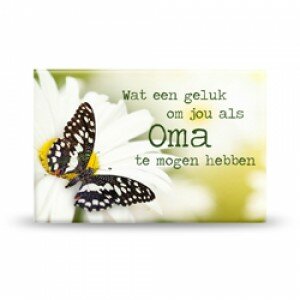 Decoratiemagneet met liefdevolle tekst Wat een geluk om jou als oma te mogen hebben van 5,5 x 8 cm