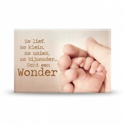 Magneet Een wonder