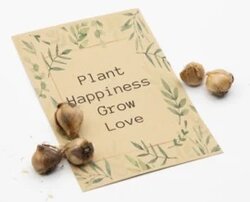 Plant happiness grow love geluksklavers in kraft zakje