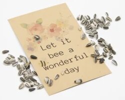 Kraftzakje Zonnebloemzaden – Let it bee a wonderful day