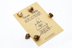 Nieuwe woning gefeliciteerd geluksklavers in kraft zakje