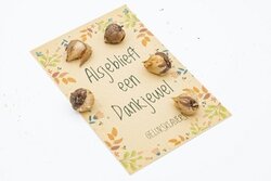 Alsjeblieft een dankjewel geluksklavers in kraft zakje