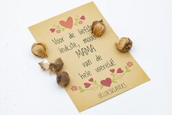 Voor de liefste, leukste, mooiste mama van de hele wereld geluksklavers in kraft zakje