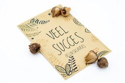Veel succes geluksklavers in kraft zakje