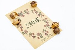 Zomaar - Geluksklavers in kraft zakje