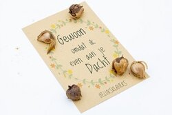 Gewoon omdat ik even aan Je dacht - Geluksklavers in kraft zakje