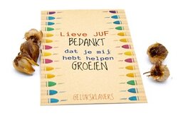 Lieve juf bedankt dat je mij hebt helpen groeien - Geluksklavers kraft zakje