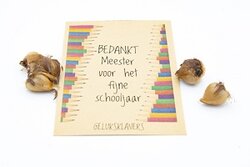 Bedankt meester voor het fijne schooljaar - Geluksklavers kraft zakje