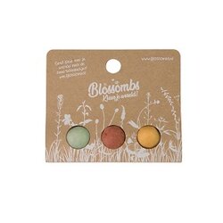 Bloembommetjes zaden blister met 3 stuks voor bijen en vlinders