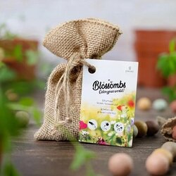 Bloem bommetjes zaden cadeau zakje met 8 vrolijke bloembommetjes voor tuin en balkon