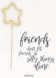 Sterretje Friends don't let friends do silly things alone kaartje