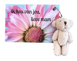 Kaartje - Ik hou van jou lieve mam met knuffel beertje