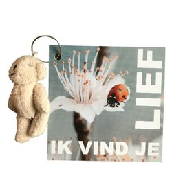 Kaartje - Ik vind je lief met knuffel beertje