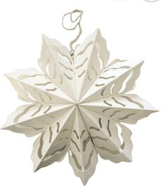 Kerstbloem - wit 