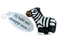 Zebra van keramiek