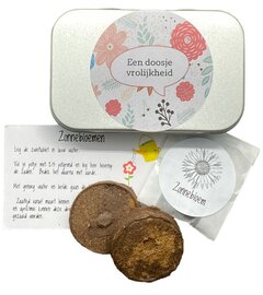 Stralend Groen Kweeksetje Een Doosje Vrolijkheid met Zonnebloemzaden