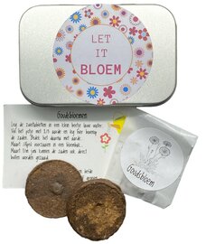 Creatief Groen Kweeksetje Let It Bloem met Goudsbloemzaden