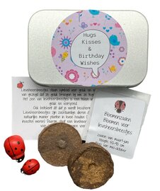 Zadendoosje Hugs kisses & Birthday wishes - Bloemen en lieveheersbeestjes