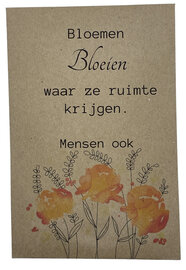 Bloemen bloeien waar ze ruimte krijgen mensen ook - Goudsbloem zaden kraft zakje