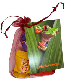 Tony's Chocolonely chocolade opkikkertje in organza zakje