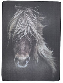 Houten wandbord met een close up afbeelding van een paard