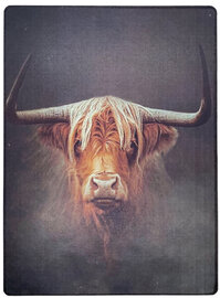 Bordje Schotse Hooglander gekleurd hout