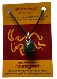 Steenbok Sterrenbeeld ketting 