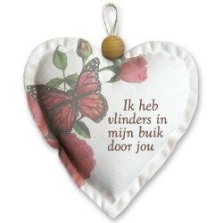 Hart van stof - Ik heb vlinders in mijn buik door jou