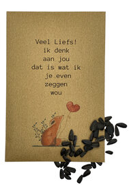 Veel liefs ik denk aan jou - zakje met zonnebloemzaden