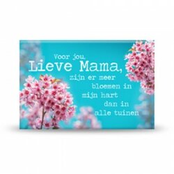 Magneet Lieve mama